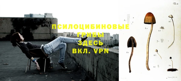 mix Армянск