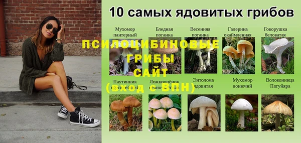 mix Армянск