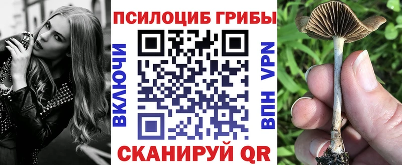 Галлюциногенные грибы GOLDEN TEACHER  наркота  Ишим 